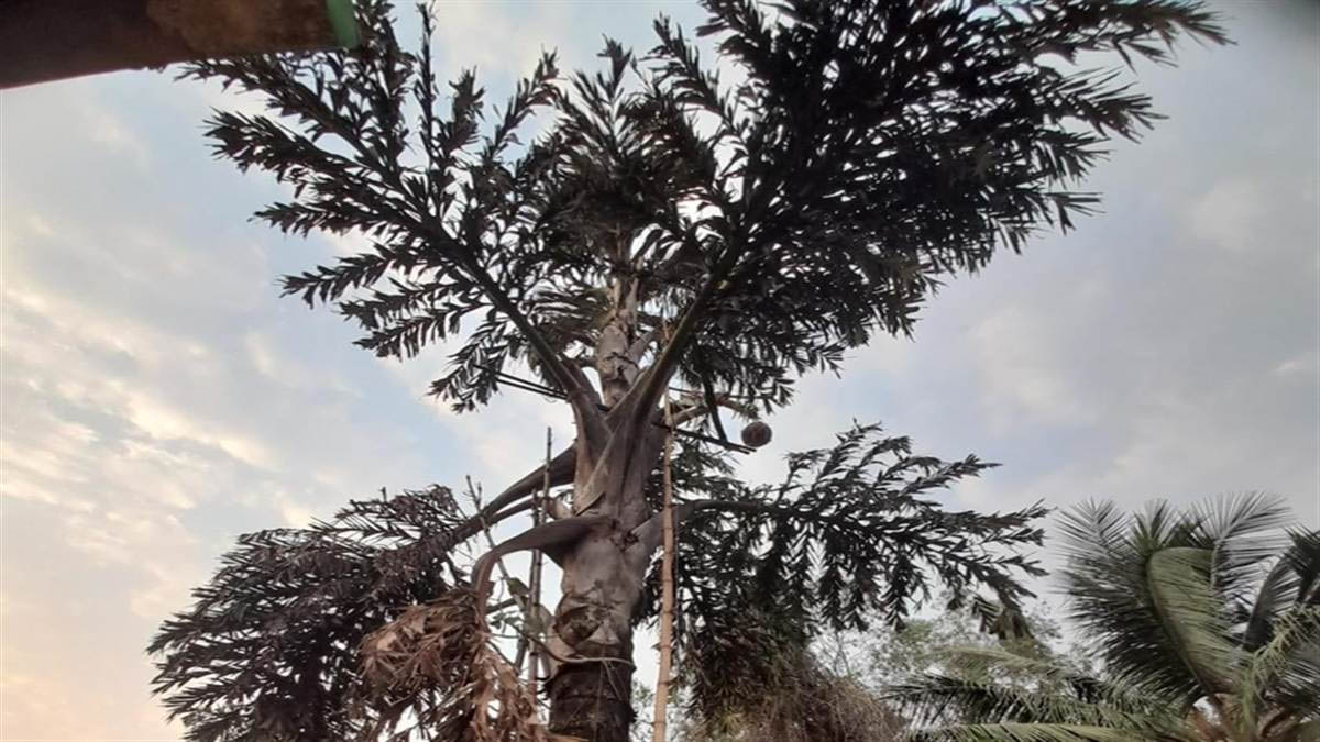 बिलासपुर में मौसम बदला, चढ़ने लगा पारा