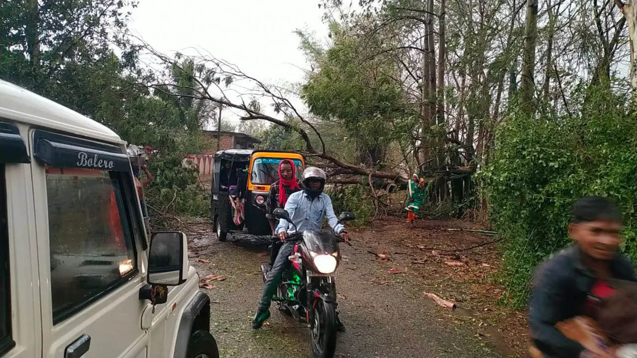 सीधी में हुई तेज अंधड़ के साथ बारिश, गिरे ओले
