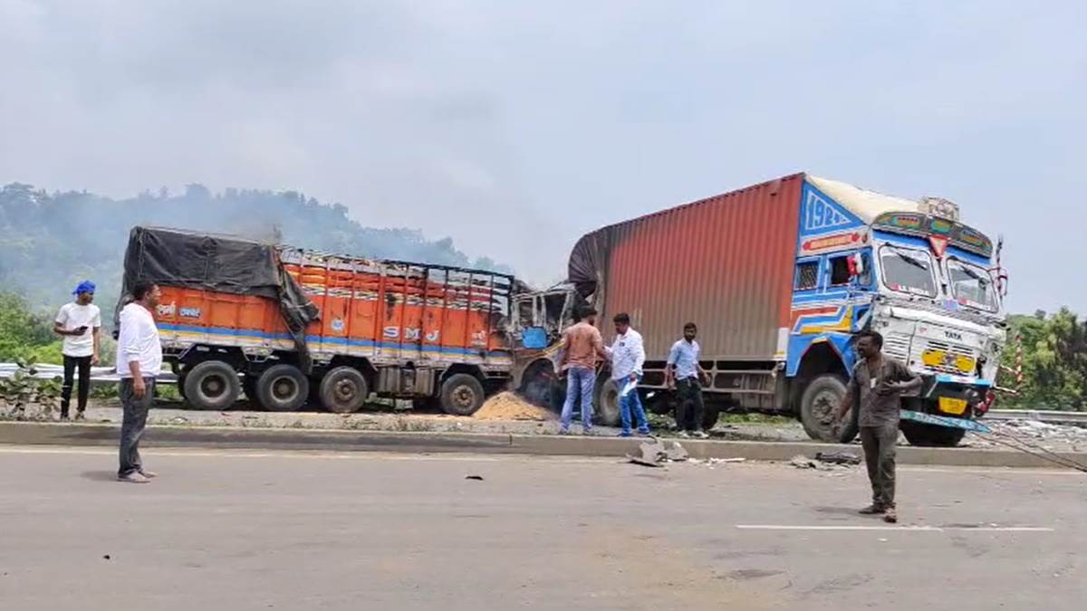 भोपाल के आसपास के राज्य मार्गो से सड़क दुर्घटनाओं में कम से कम 93 गायों की मौत, 295 हुई घायल